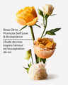 Heirloom Rose Moisturizing Body Lotion