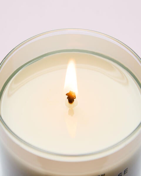 Clean House Vibes Single Wick Candle