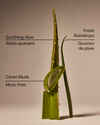 Cool Aloe Water Daily Moisturizing Hand Soap