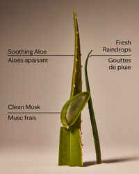 Cool Aloe Water Daily Moisturizing Hand Soap