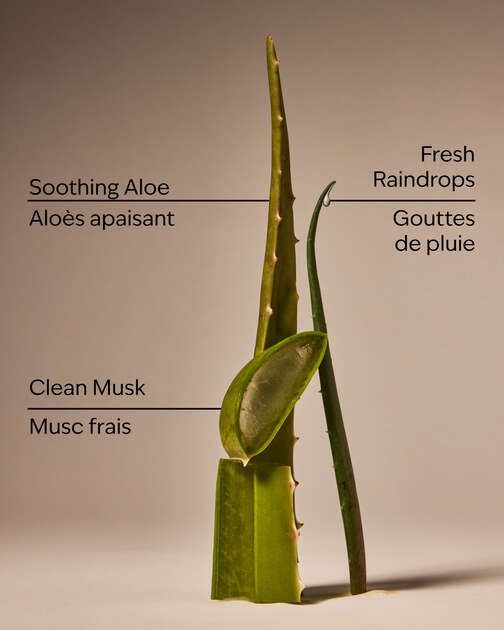 Cool Aloe Water Daily Moisturizing Hand Soap