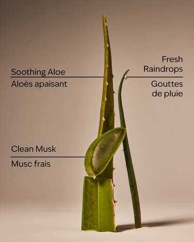 Cool Aloe Water Daily Moisturizing Hand Soap