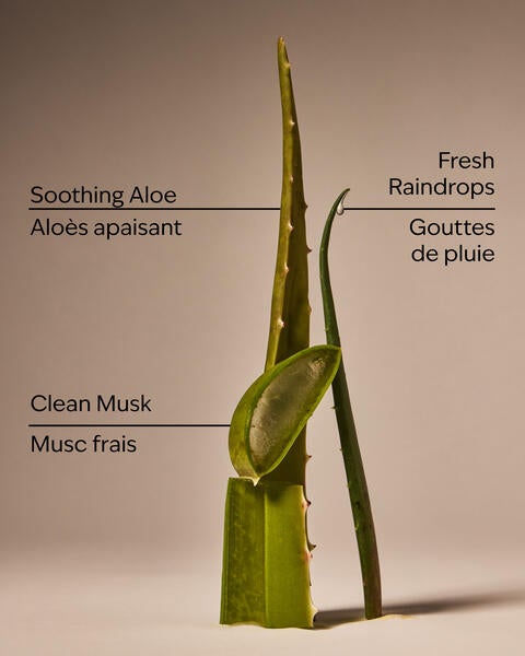 Cool Aloe Water Daily Moisturizing Hand Soap