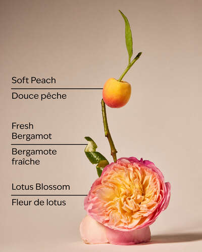 Springtime In Paris 3-Wick Candle