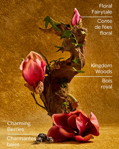 Life's a Fairytale Wallflowers Fragrance Refill