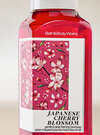 Japanese Cherry Blossom Gentle & Clean Foaming Hand Soap