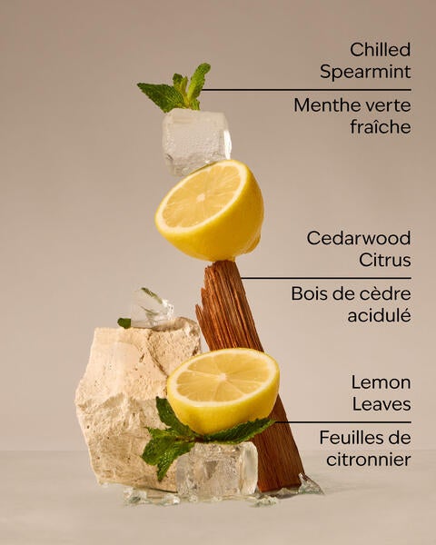 Fresh Amalfi Lemon Concentrated Room Spray