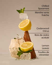 Fresh Amalfi Lemon Concentrated Room Spray