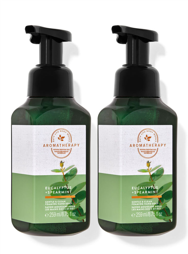 Eucalyptus Spearmint Gentle Foaming Hand Soap, 2-Pack