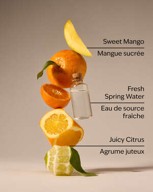 Midnight Blue Citrus Wallflowers Fragrance Refill
