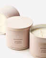 Snowflakes & Cashmere 3-Wick Candle