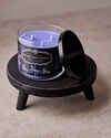 Cotton Candy Cobwebs 3-Wick Candle