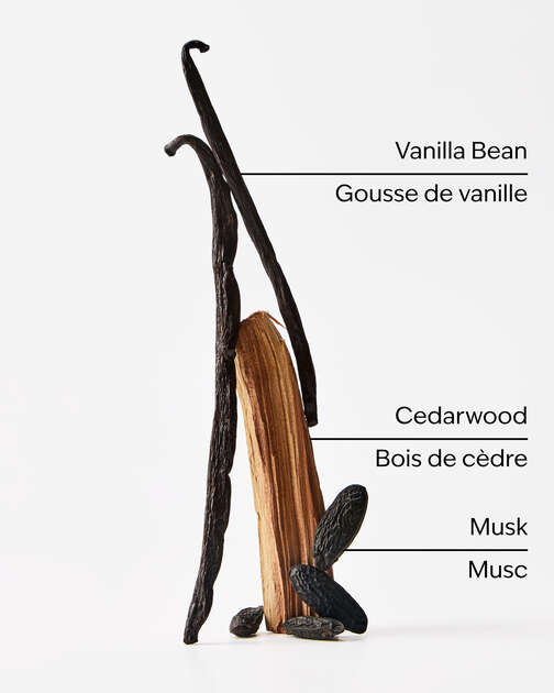 Vanilla + Tonka Fragrance Infused Liquidless Reeds