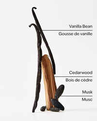 Vanilla + Tonka Fragrance Infused Liquidless Reeds