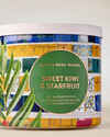 Sweet Kiwi & Starfruit 3-Wick Candle