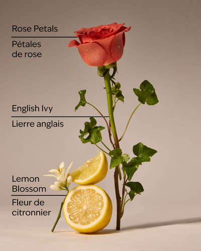 Rose Water & Ivy Moisturizing PocketBac Hand Sanitizer