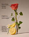 Rose Water & Ivy Moisturizing PocketBac Hand Sanitizer
