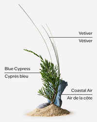 Ocean Body Spray