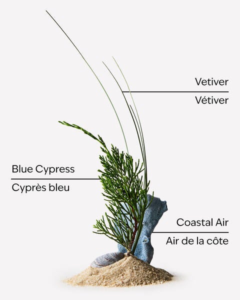 Ocean Deodorizing Body Spray
