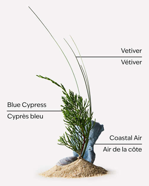 Ocean Deodorizing Body Spray