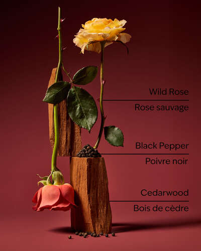 Nocturnal Rose Cologne