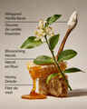 Whipped Honey & Vanilla Hanging Fragrance Diffuser