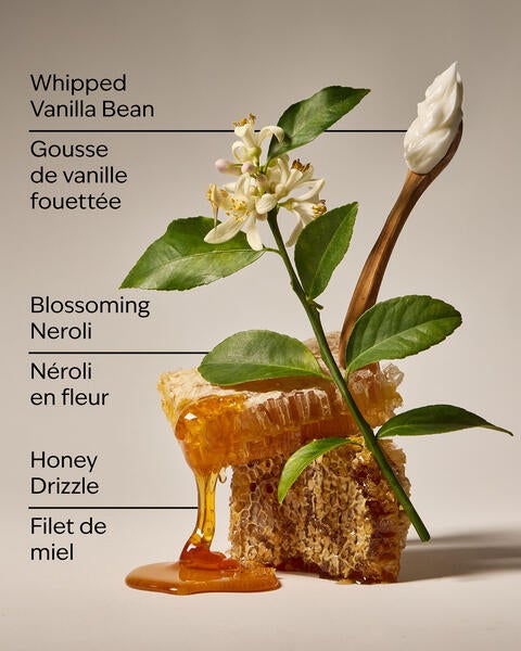 Whipped Honey & Vanilla Hanging Fragrance Diffuser