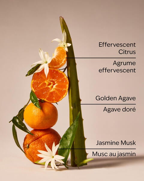 Sweet Orange & Agave 3-Wick Candle