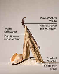 Coastal Dreaming Body Wash