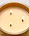 Peach Blossom & Nectar 3-Wick Candle