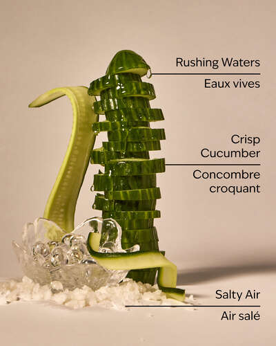 Rainforest Falls Cleansing Gel Hand Soap