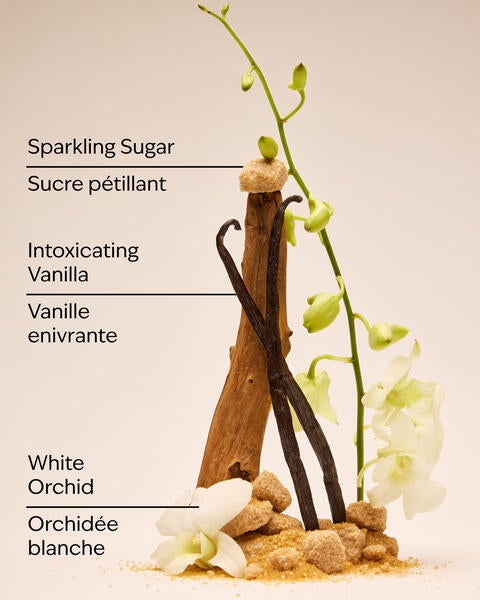 Fine bruine parfumée Warm Vanilla Sugar