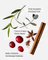 Cranberry & Eucalyptus Wallflowers Fragrance Refill