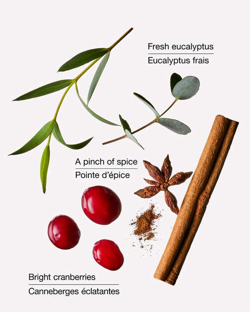 Cranberry & Eucalyptus Wallflowers Fragrance Refill