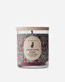 Chandelle à une mèche Spiced Apple Toddy