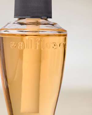 Pineapple Mango Wallflowers Fragrance Refill