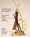 Warm Vanilla Sugar Body Wash