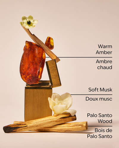 Palo Santo & Sage 3-Wick Candle