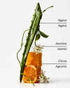 Sweet Orange + Agave 4-Wick Candle