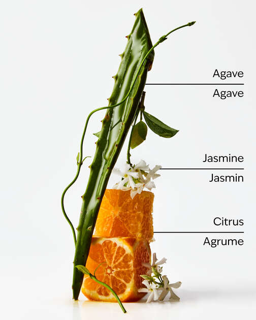 Sweet Orange + Agave Room Mist