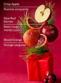 Bright Christmas Morning 3-Wick Candle