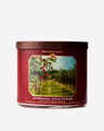 Afternoon Apple Picking 3-Wick Candle