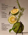 Savon moussant doux et net Lavender Bergamot