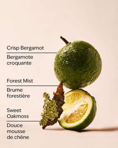 A Quiet Escape Wallflowers Fragrance Refill