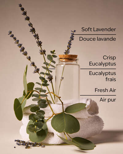 Laundry Day Wallflowers Fragrance Refill