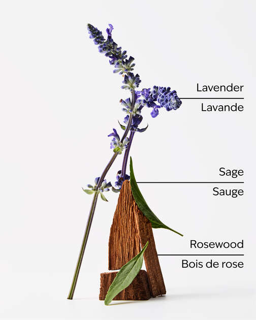 Lavender + Jasmine Wallflowers Fragrance Refill