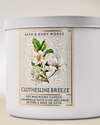 Clothesline Breeze 3-Wick Candle