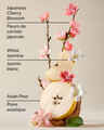 Japanese Cherry Blossom Creamy Body Scrub