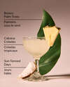Meet Me In Miami Single Wick Candle