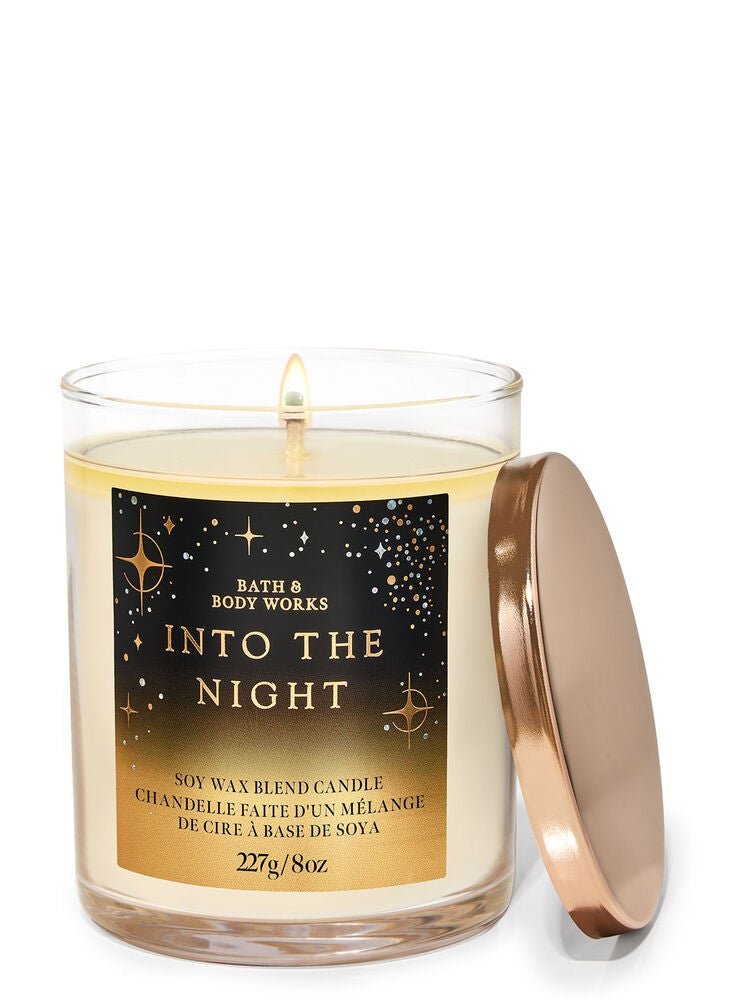 Into The Night Single Wick Candle Bath and Body Works